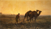 Gustave Achille Guillaumet Tarlada Akşam Kanvas Tablo