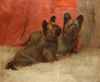 Portrait of two Skye Terriers by Maud Earl