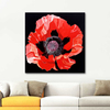 Red Poppy by Dagmar Göğdün as Fine Art Print