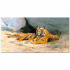 Resting Tigers by Wilhelm Kuhnert as Fine Art Print