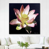 Sacred Lotus by Dagmar Göğdün as Fine Art Print