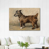 Sandy by John Emms as Fine Art Print