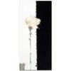 Single White Rose