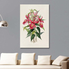 Sobralia Macrantha by James Bateman as Fine Art Print