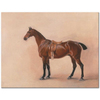 Study of a Saddled Bay Hunter by John Ferneley as Fine Art Giclée
