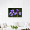 Pair of Irises Art Print