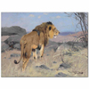 The Lion by Wilhelm Kuhnert as Fine Art Print