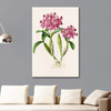 The Orchidaceae of Mexico and Guatemala Cattleya Skinneri by James Bateman as Fine Art Print
