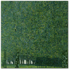 The Park by Gustav Klimt