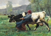 The Stubborn Cow by Julien Dupre