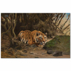 Tiger After His Prey by Wilhelm Kuhnert as Fine Art Print