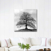 Tree by Ansel Adams as Art Print