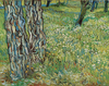 Tree Trunks in the Grass by Vincent van Gogh as Fine Art Print