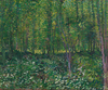 Trees and Undergrowth by Vincent van Gogh as Fine Art Print