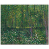 Trees and Undergrowth by Vincent van Gogh as Fine Art Print