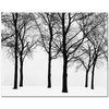 Trees in Winter by Harry Callahan as Art Print