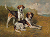 Two Hounds Resting by John Emms