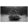 Underwater as Art Print
