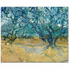 Vincent van Gogh Zeytin Bahçesi Kanvas Tablo