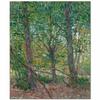 Trees and Undergrowth by Vincent van Gogh