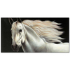 White Horse as Art Print