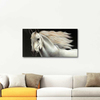 White Horse as Art Print