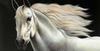 White Horse