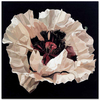 White Poppy by Dagmar Göğdün