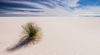 White Sands New Mexico