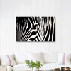 Zebra Zerafeti Kanvas Tablo