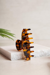 Dora Amber Tortoise Kemik Toka
