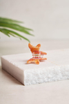 Mini Corgi Kemik Toka
