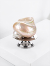 Glandes Aure Candle
