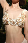Litus Crop/Bikini