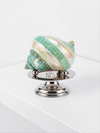 Muschel Aure Candle