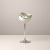 Muschel Silver