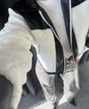 deri-teddy-crop-mont-991bf9.jpeg