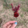 BORDO YAKA ÇİÇEĞİ 
