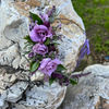 LİLA RÜYA KURU ÇİÇEK TAÇ