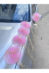5-adet-dugun-arabasi-susu-gelin-arabas-534-b3.jpg