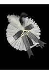 damat-bohca-susu-damat-ceyiz-dugun-nis--34c35.jpg