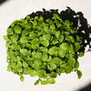 lemon-balm-ea8045.jpg