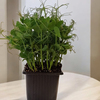 mini-tanisma-paketi-16-912.jpg