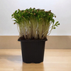 mini-tanisma-paketi-2fff-8.jpg
