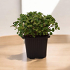 mini-tanisma-paketi-a42-45.jpg