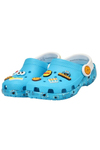cocuk-susam-sokagi-cookie-monster-clas-839-9e.jpg