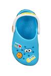 cocuk-susam-sokagi-cookie-monster-clas-92b81-.jpg