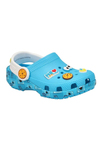 cocuk-susam-sokagi-cookie-monster-clas-a2b382.jpg