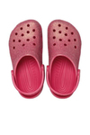 nar-cicegi-simli-classic-iridescent-gl-b3e11e.jpeg