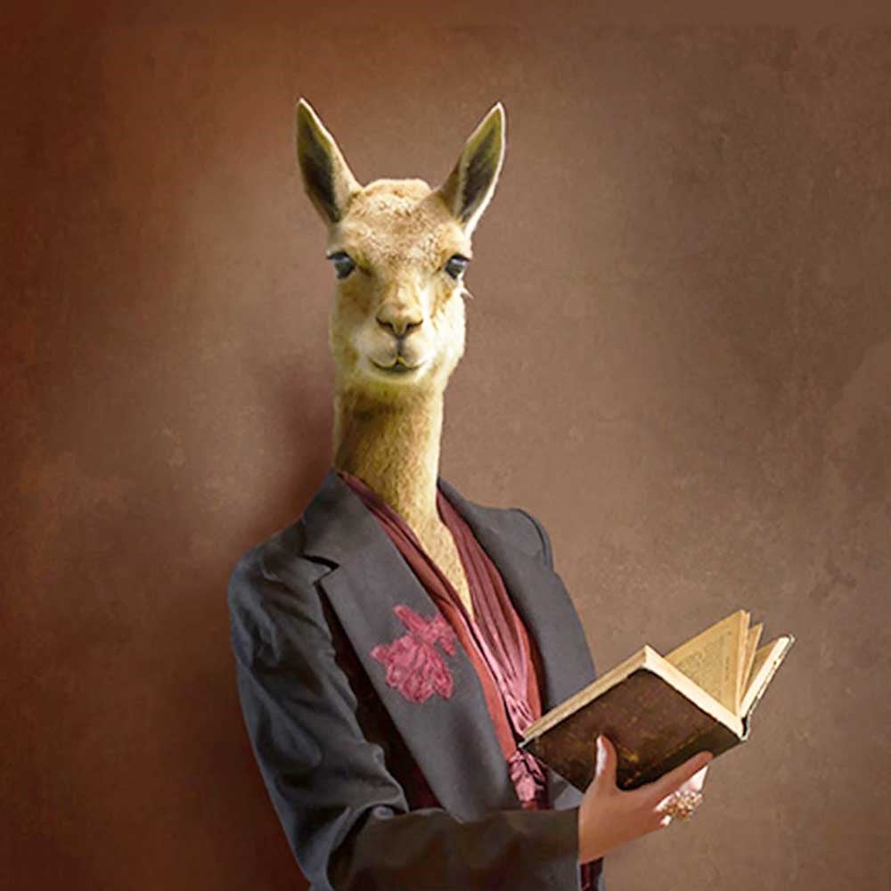 Lama 70x70cm Pano Baskılı Kumaş